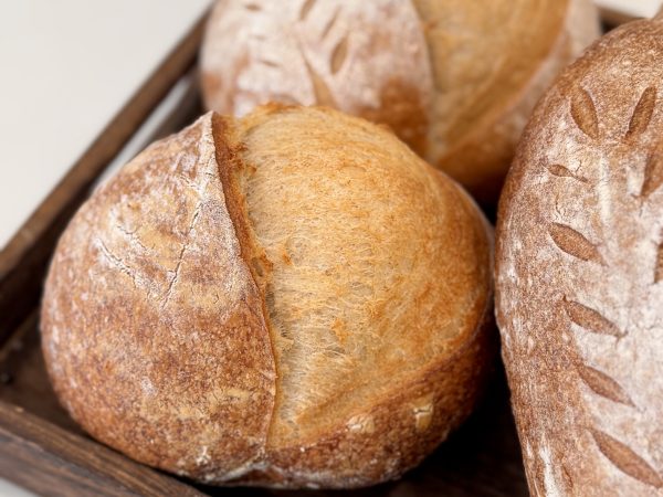 Lớp trực tiếp bánh mì artisan men sourdough